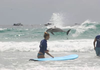 Full Day Learn To Surf Adventure Gold Coast 2