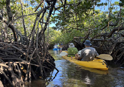 Noosa Hidden Waterways & Wildlife Kayak Tour (Self-guided) 2