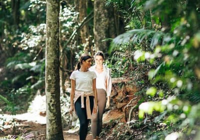 Tamborine Mountain Gourmet & Nature Experience 2