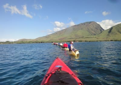 Kayaking and Snorkeling in West Maui at Olowalu 2