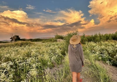Wild Lines: Hikes for Creative Minds with Helena near Tahoe 2