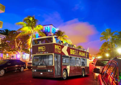 Miami Big Bus Night Tour (Blue Line) 2