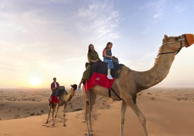 Dubai Evening Desert Safari 2