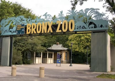 Bronx Zoo: Entry Ticket 2