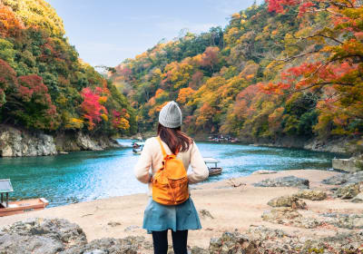 Best of Kyoto Half-Day Tour – Small Group 2