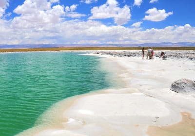 Tour Laguna Cejar y Ojos del Salar 2