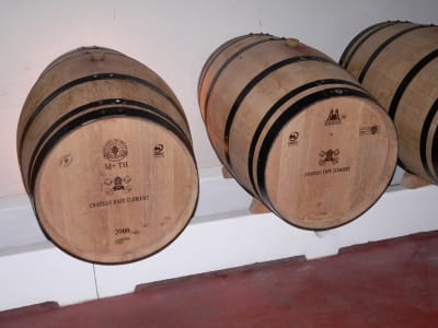 Oak barrels aging wine in a dimly lit Pessac‑Léognan cellar