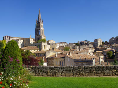 5-Day Bordeaux Private Grands Crus Wine Tour Package - image 2