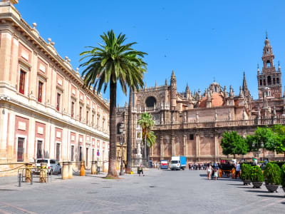 Royal Alcázares of Seville:Self-guided audio tour no ticket - image 2