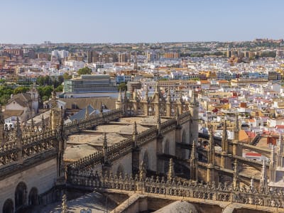 Seville Cathedral Self-guided Audio Tour - no Ticket - image 2