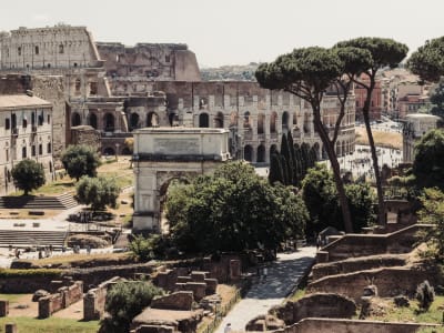 Private Colosseum Tour with Roman Forum & Palatine Hill - image 2
