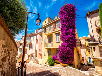 Villefranche HD Cruise Excursion to Cannes, Antibes & beyond - image 2