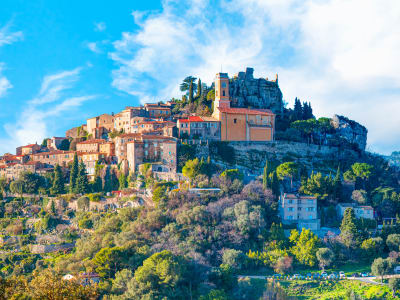 Villefranche-Sur-Mer Cruise Excursion FD to Eze & Monaco  - image 2