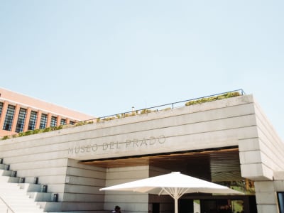VIP Alone in the Prado: Exclusive Early Access Museum Tour - image 2