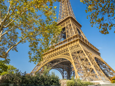 Eiffel Tower and Trocadero Gardens Tour - image 2