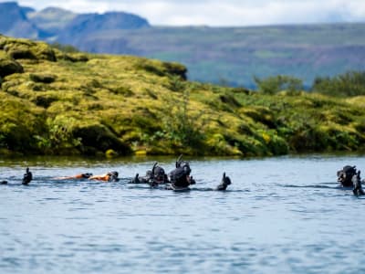 Silfra Snorkeling - From Reykjavik - image 2