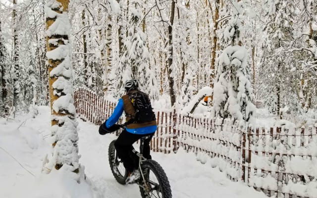Anchorage Winter Fat Tire Bike Tour