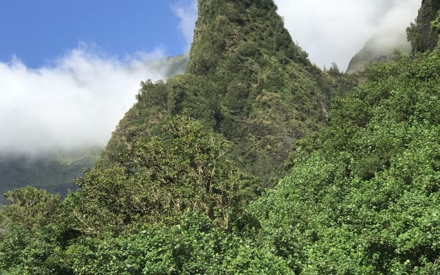 Iao Valley & Upcountry Private Tour