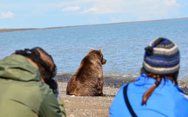 Alaska Bear Discovery