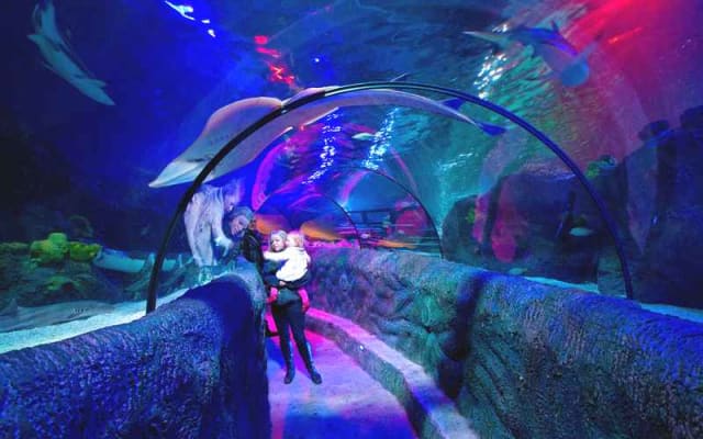 SEA LIFE Loch Lomond