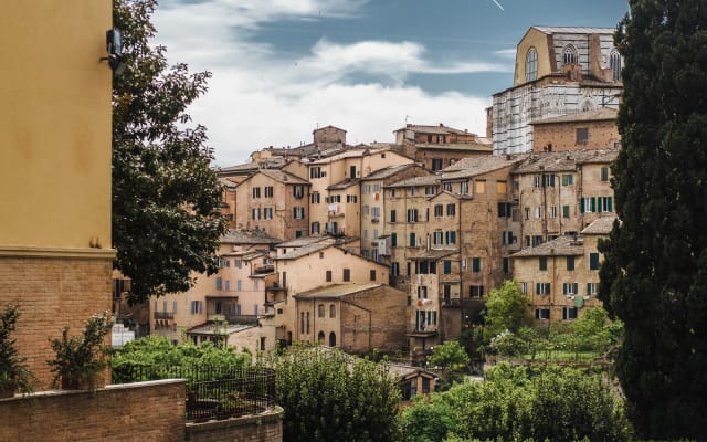  Florence: San Gimignano, Siena & Chianti Wine Tasting 