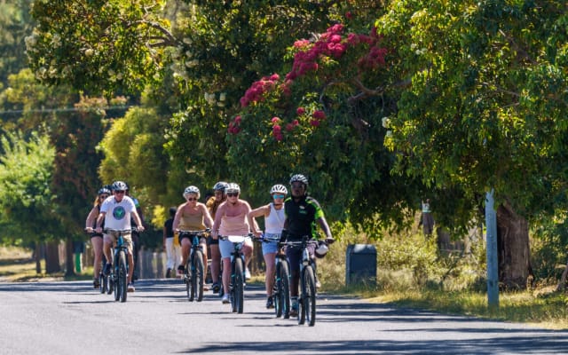 Franschhoek Half Day Winelands Cycle Tour