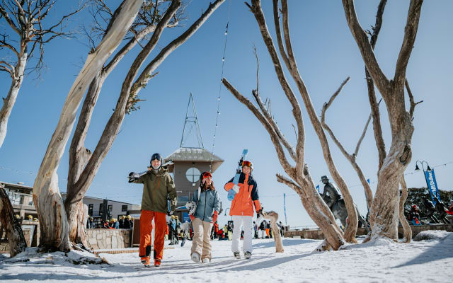 1 Day Mount Buller Snow Tour
