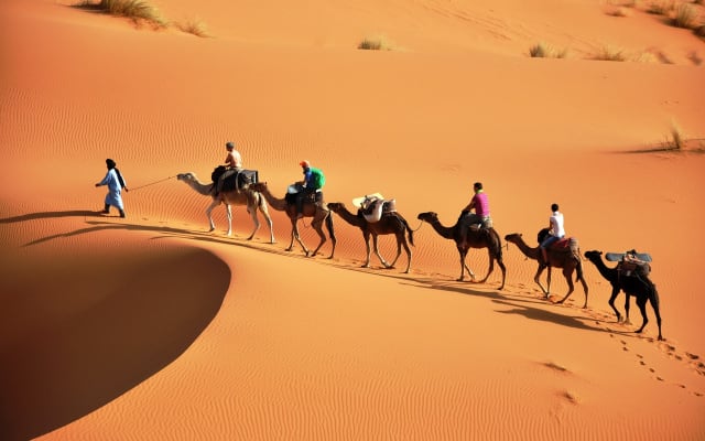 7 Days Desert tour from Casablanca