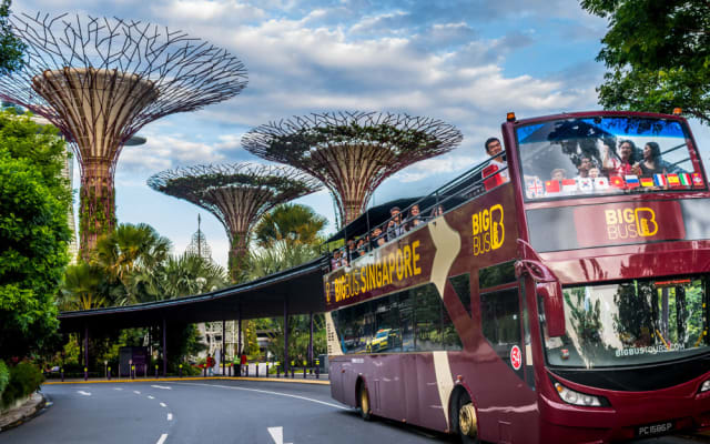 Singapore Discover Big Bus Hop-On Hop-Off Tour (24-Hour Ticket)