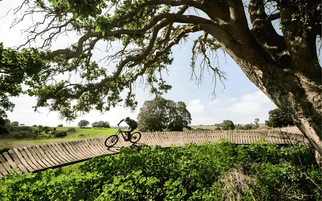 Circuito MTB de Parque Tricao: Aventura en la Naturaleza 