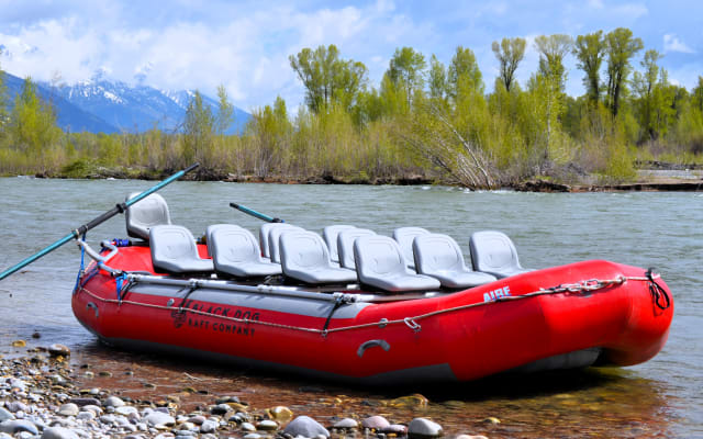 Jackson Hole Scenic Float on the Snake River