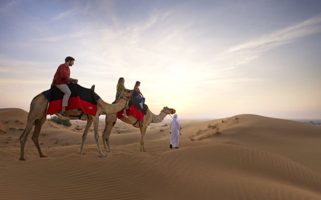 Camel Ride in Dubai