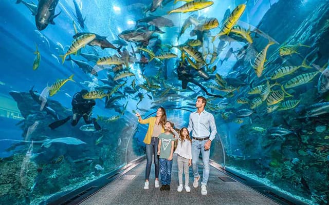 Combo: Dubai Aquarium and Aquaventure Waterpark