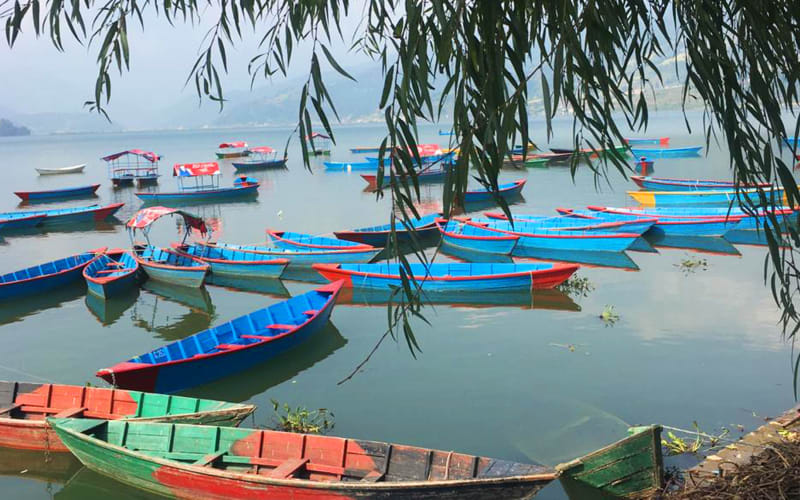 Phewa lake