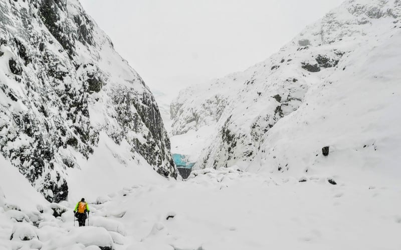 Guided Snowshoeing Adventure from Seward, Alaska - main image