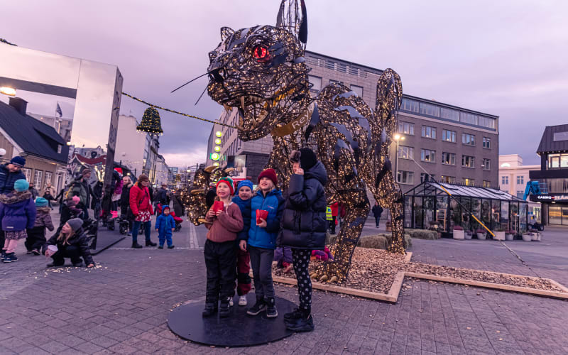 Private Reykjavik Christmas Walking Tour - main image