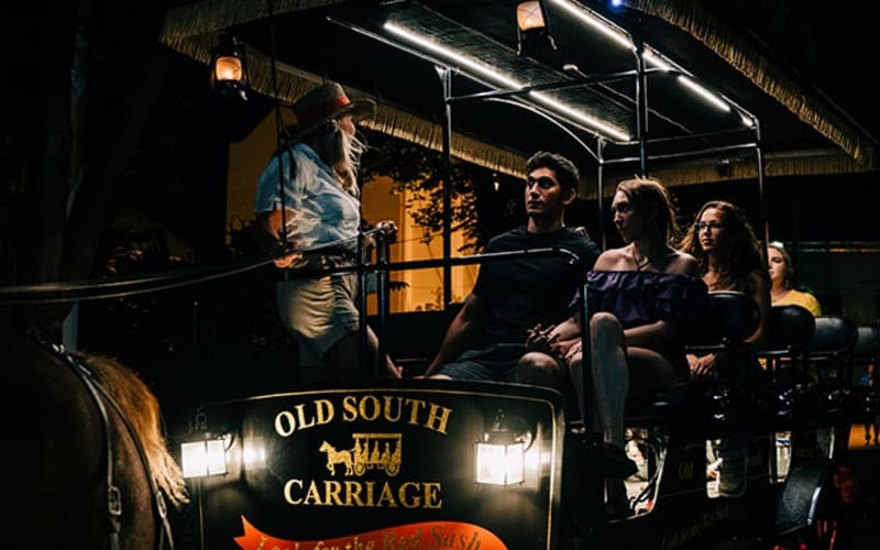 Haunted Evening Horse and Carriage Tour of Charleston - main image