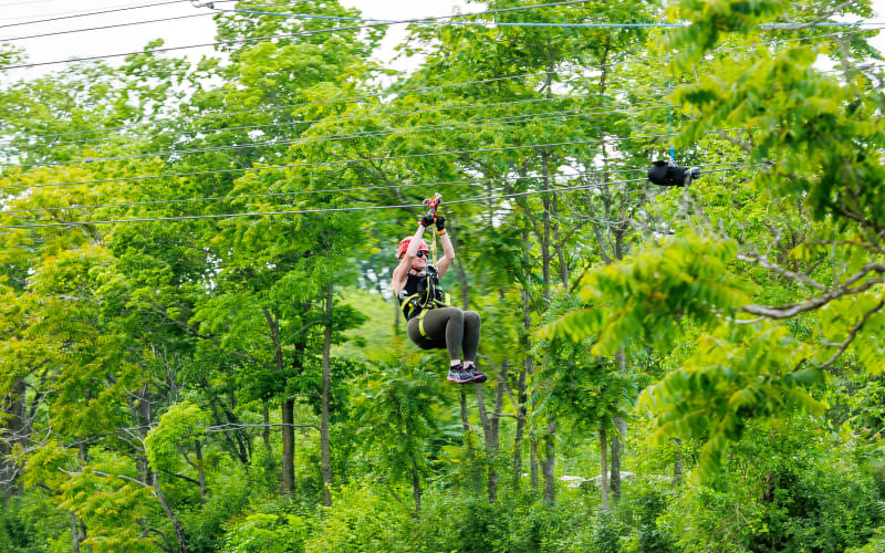 Climb & Zipline Adventure - main image