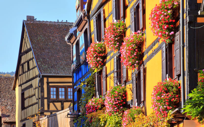 Pearls of Alsace Full DayTrip from Strasbourg (Private) - main image
