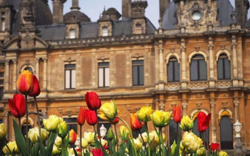Waddesdon Manor - main image