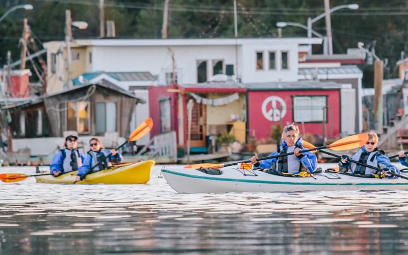 Scenic Alameda Kayak Tour - Beginners Welcome (Oakland, CA) - main image