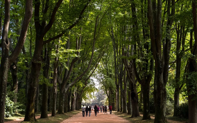 Serralves Park Discovery - main image