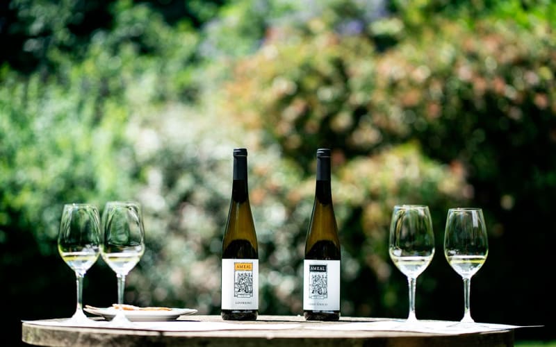 Private Vinho Verde Tour - main image