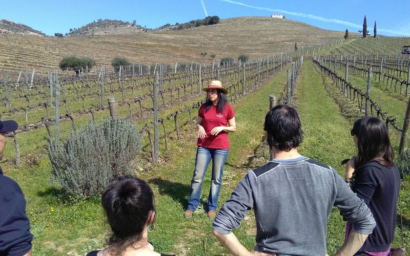 Douro Valley Tour - main image