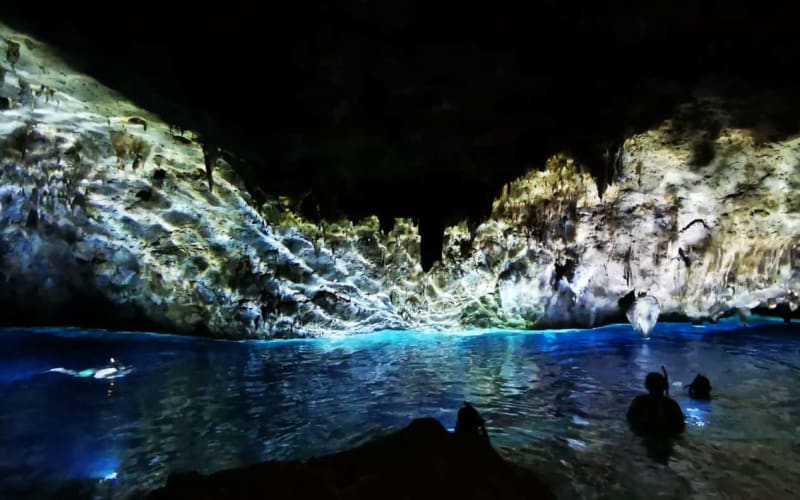 Bayahíbe: Caminata por la Selva del Parque Nacional y Esnórquel en los Cenotes - main image