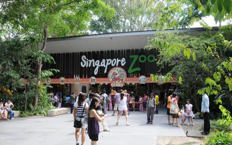 Singapore Zoo: Skip the Line Ticket - main image