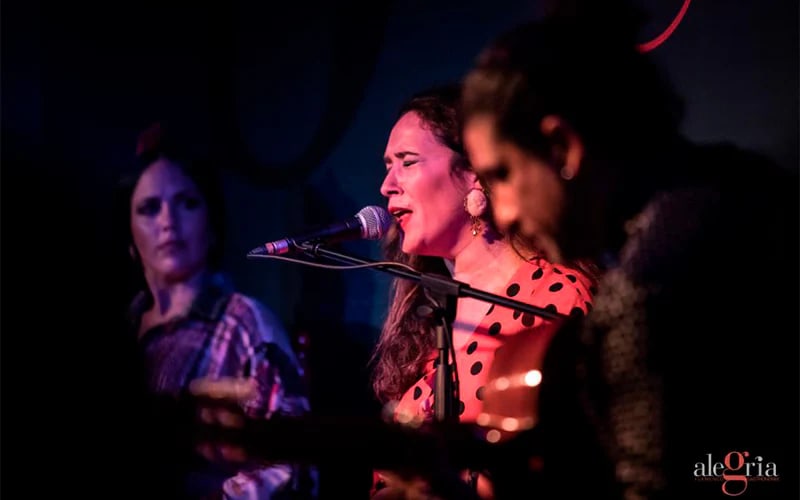 Flamenco Show in Málaga – An Evening of Passion and Art - main image