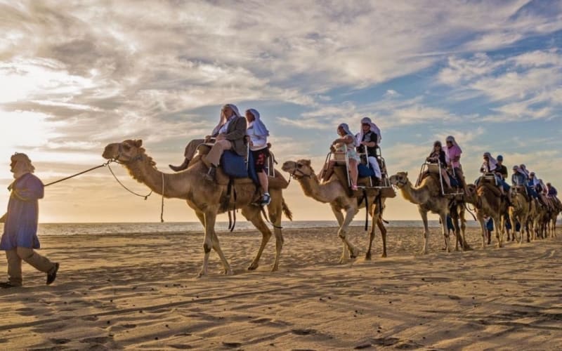 Cabo Arch & Camels: Pacific Beach Ride + Buffet Lunch - main image