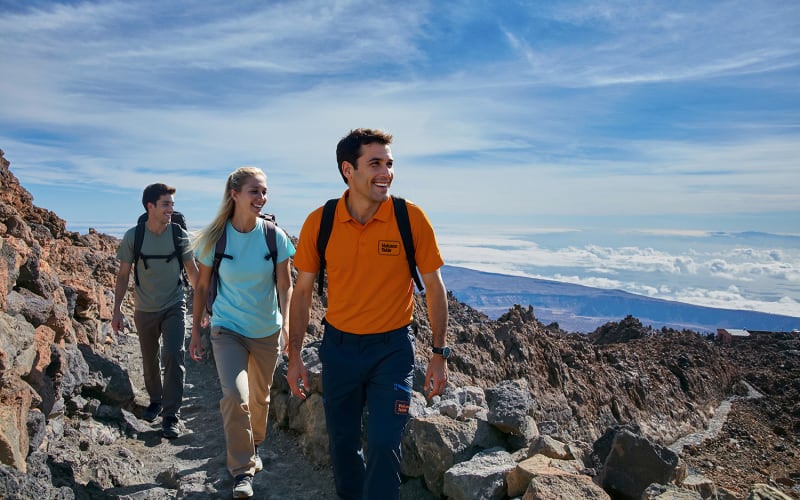 Wanderung zum Gipfel des Teide mit der Seilbahn - main image