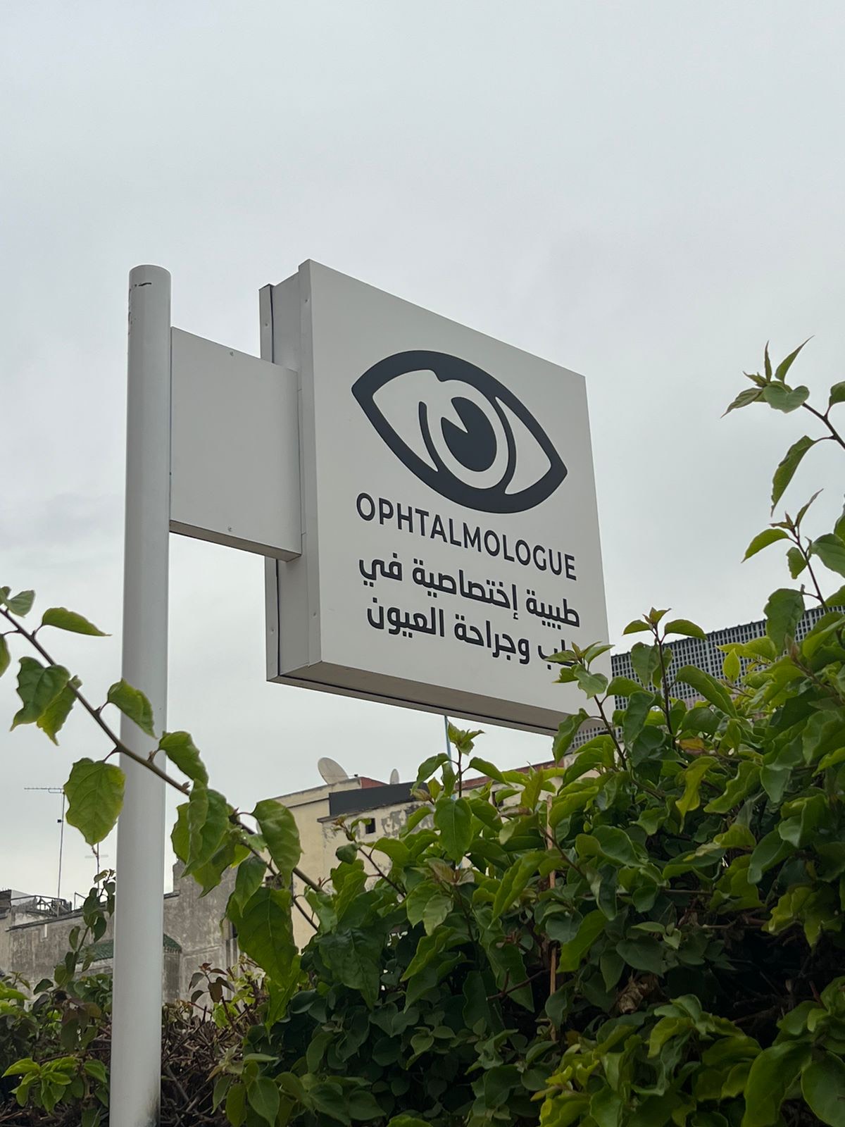 Dr Soukaina Bouziane